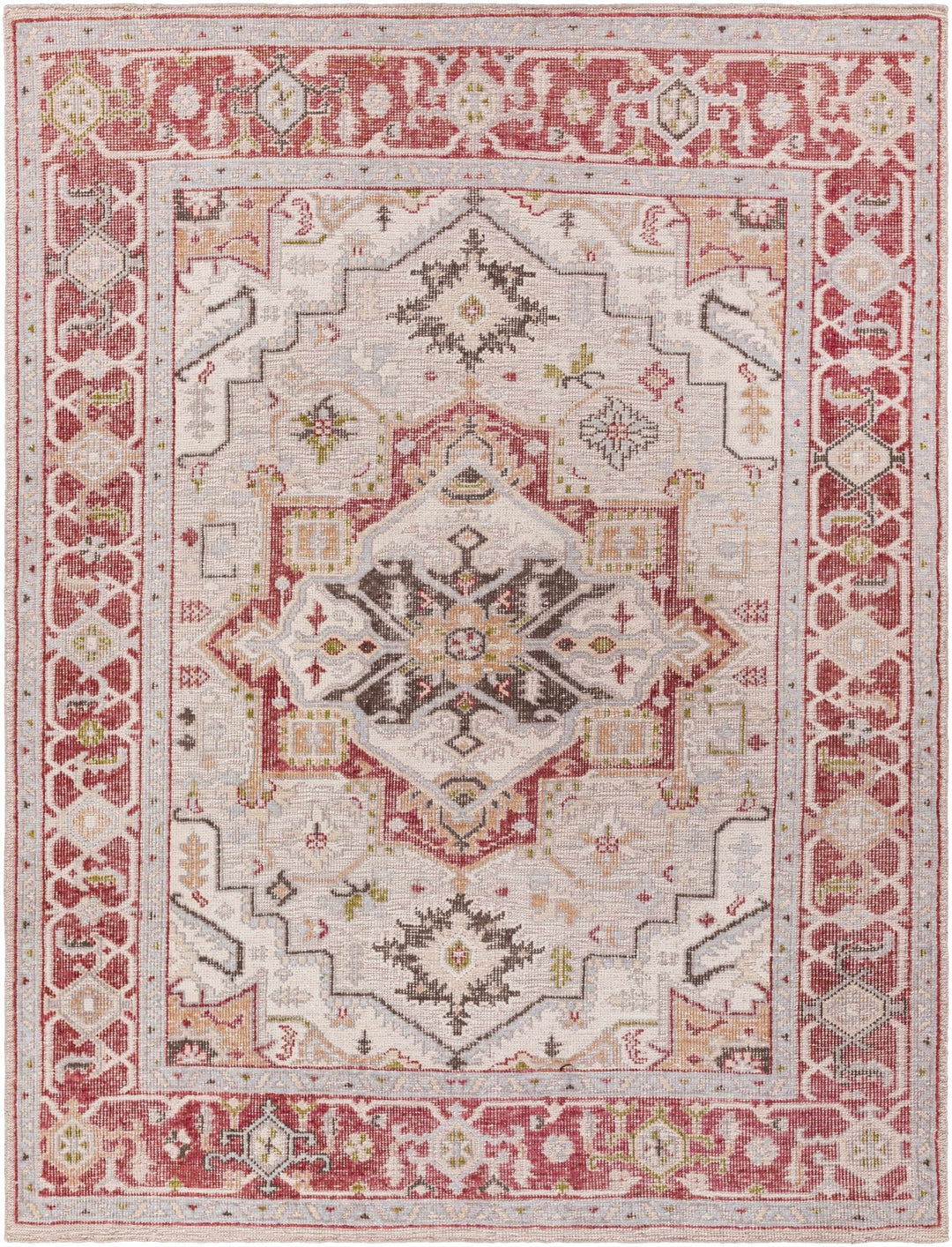 Side Traditional Medallion Red Hand Knotted Recycled PET Rug - The Rug Decor
