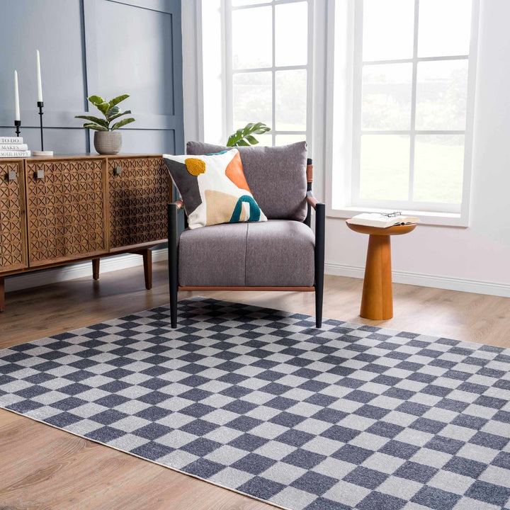Silver and Charcoal Modern Checkered Pattern Washable Area Rug - The Rug Decor