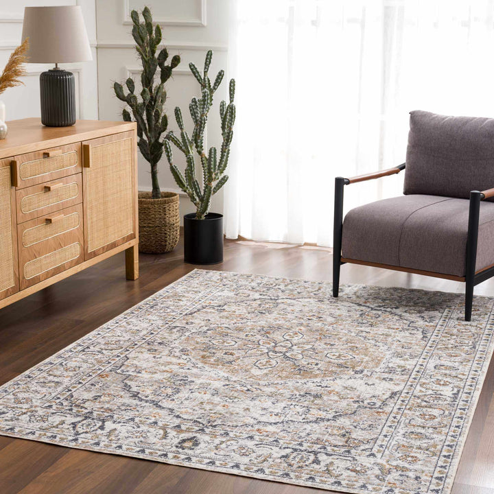 Silver, Charcoal and Beige Medallion Traditional Design Washable Area Rug - The Rug Decor