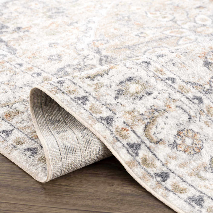 Silver, Charcoal and Beige Medallion Traditional Design Washable Area Rug - The Rug Decor