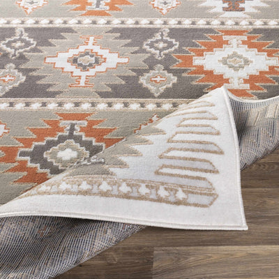 Silver, Taupe and Rust Traditional Southwestern area rug - The Rug Decor