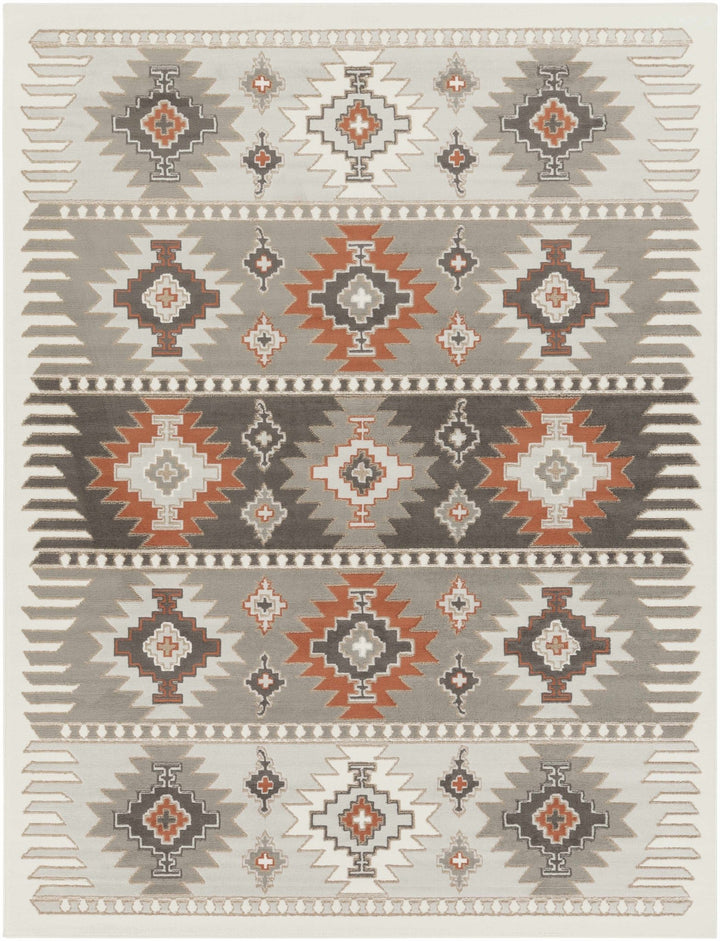 Silver, Taupe and Rust Traditional Southwestern area rug - The Rug Decor