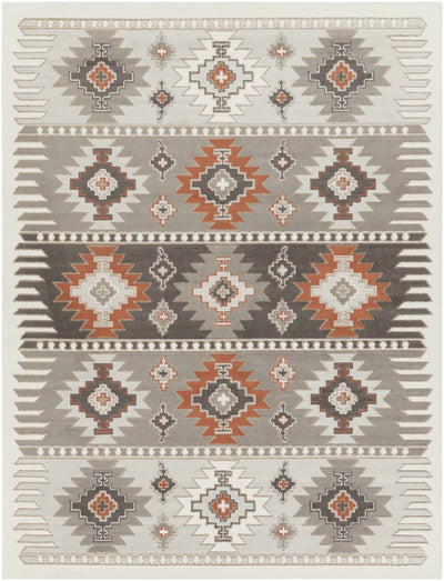 Silver, Taupe and Rust Traditional Southwestern area rug - The Rug Decor