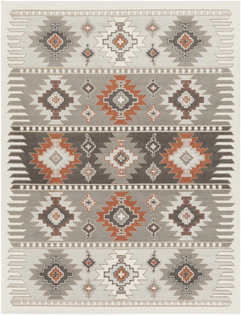 Silver, Taupe and Rust Traditional Southwestern area rug - The Rug Decor