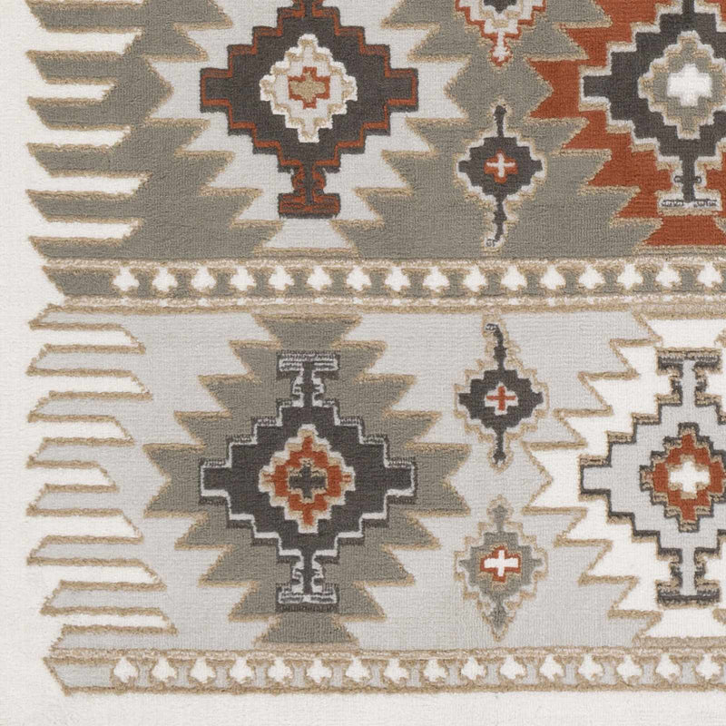 Silver, Taupe and Rust Traditional Southwestern area rug - The Rug Decor