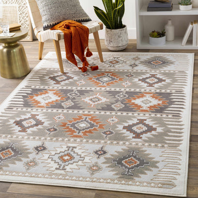 Silver, Taupe and Rust Traditional Southwestern area rug - The Rug Decor