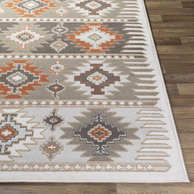 Silver, Taupe and Rust Traditional Southwestern area rug - The Rug Decor