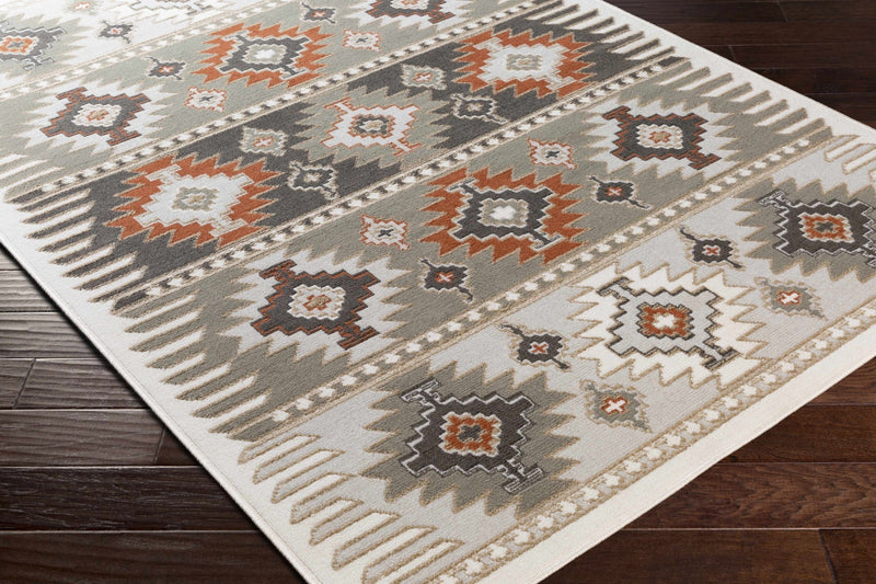 Silver, Taupe and Rust Traditional Southwestern area rug - The Rug Decor