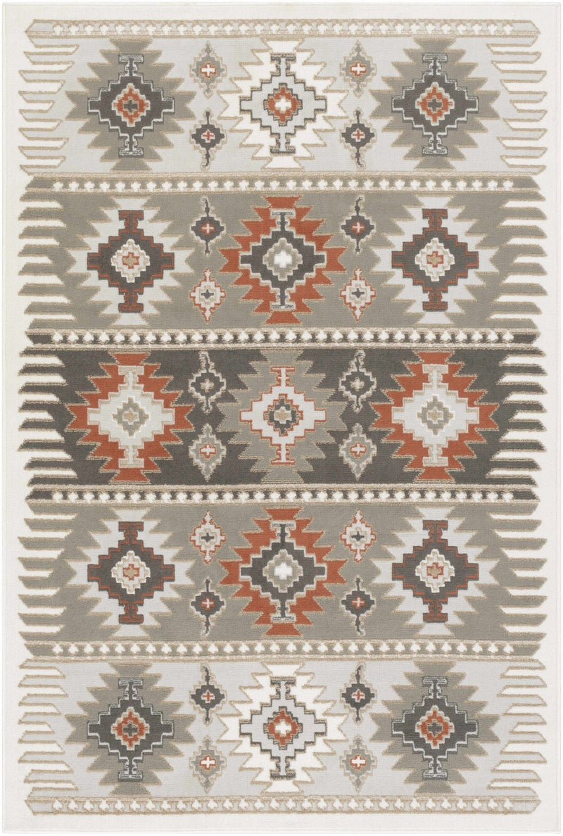 Silver, Taupe and Rust Traditional Southwestern area rug - The Rug Decor