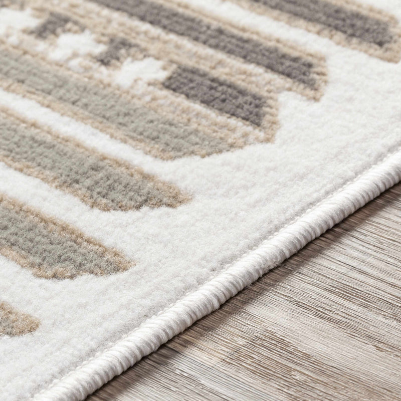 Silver, Taupe and Rust Traditional Southwestern area rug - The Rug Decor