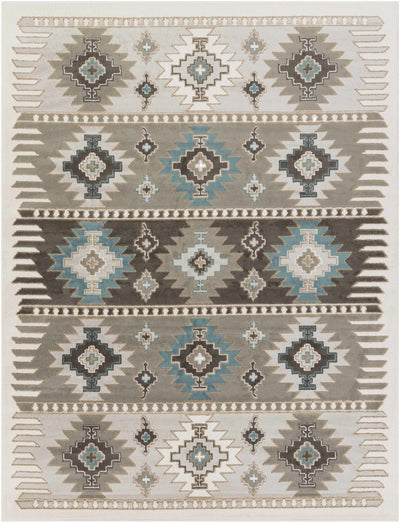 Silver, Taupe and Teal Traditional Southwestern area rug - The Rug Decor