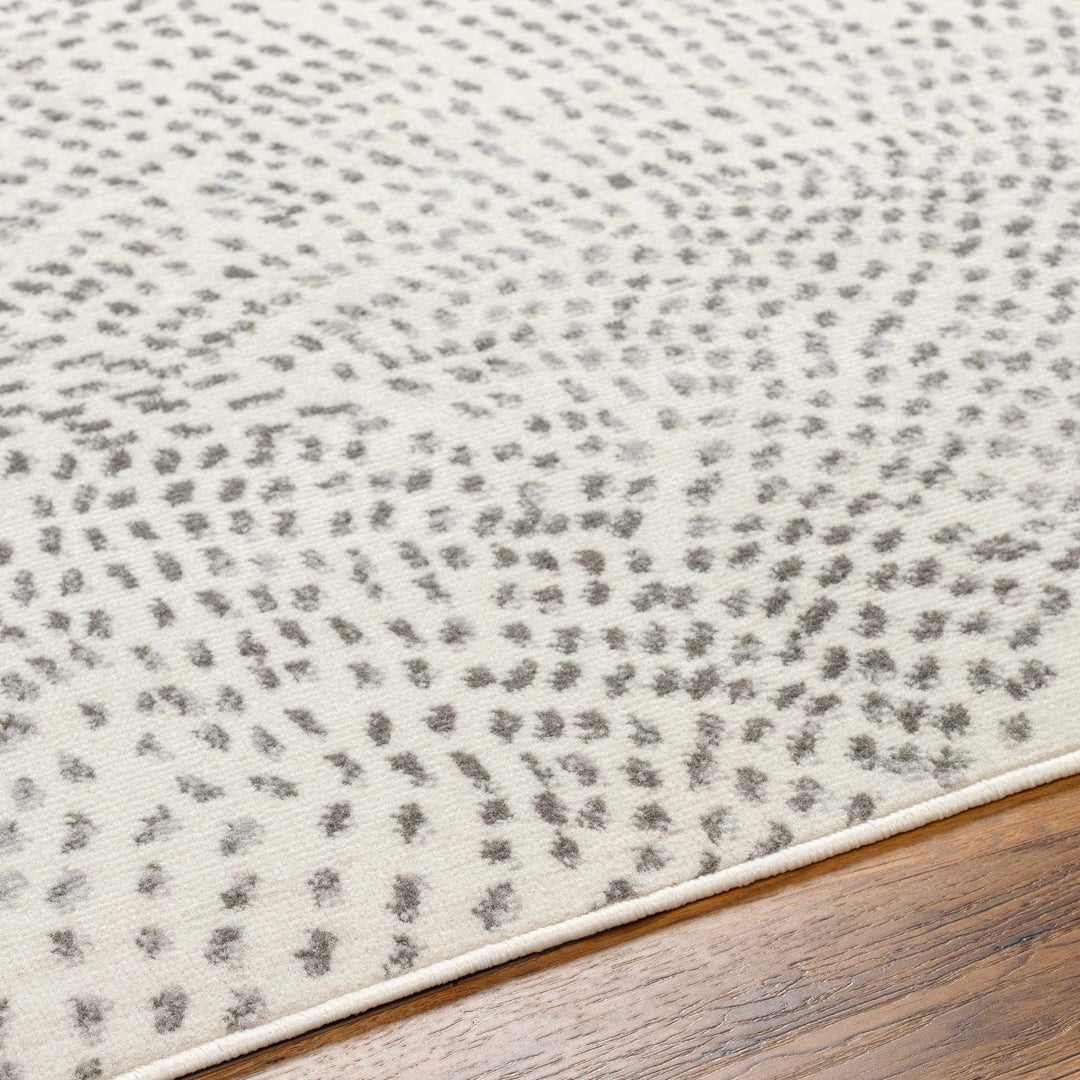 Sina Contemporary Style Beige And Gray Area Rug - The Rug Decor