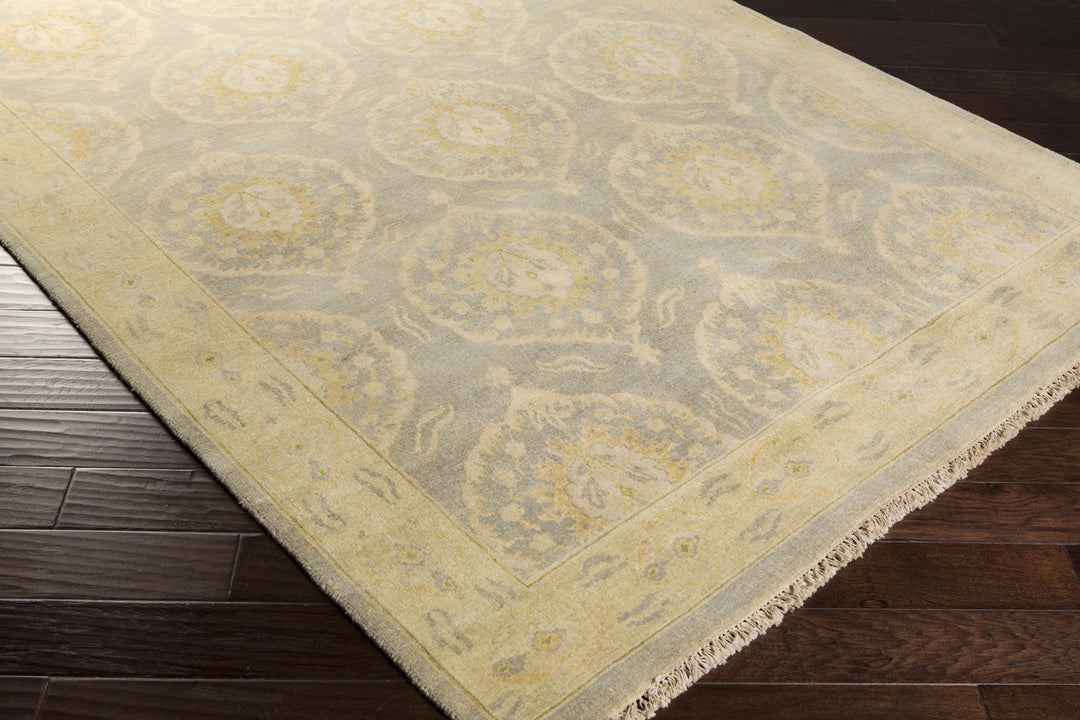 Milly Traditional Style Beige Hand Knotted Wool Area Rug