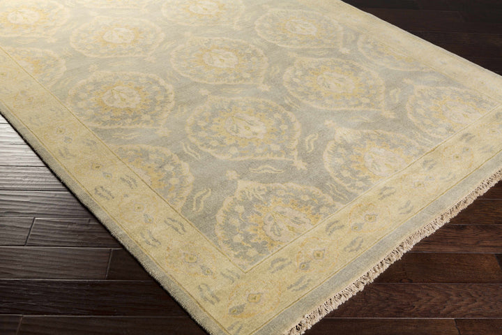 Milly Traditional Style Beige Hand Knotted Wool Area Rug