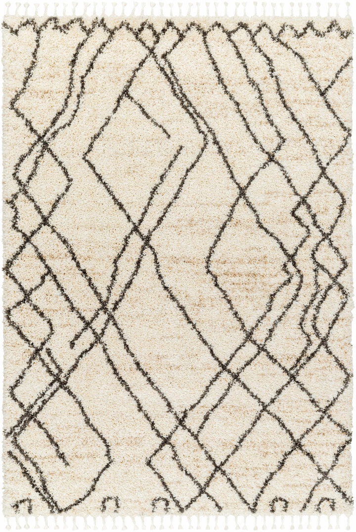 Hersz Bohemian Style Beige And Brown Area Rug