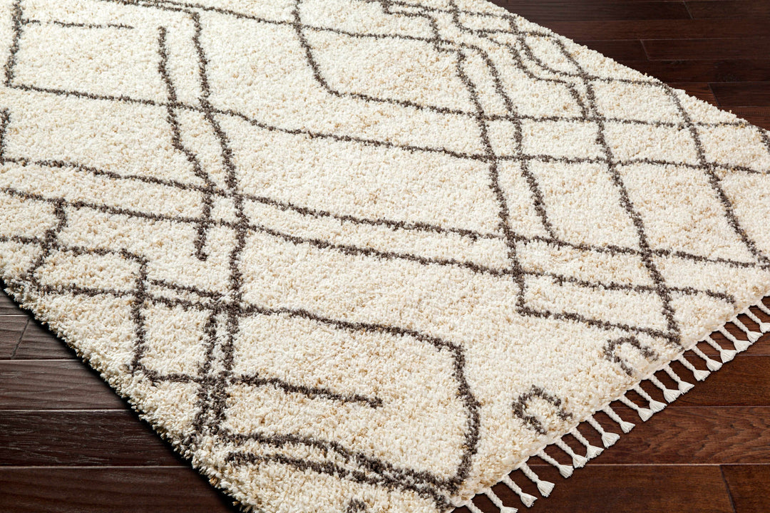 Hersz Bohemian Style Beige And Brown Area Rug