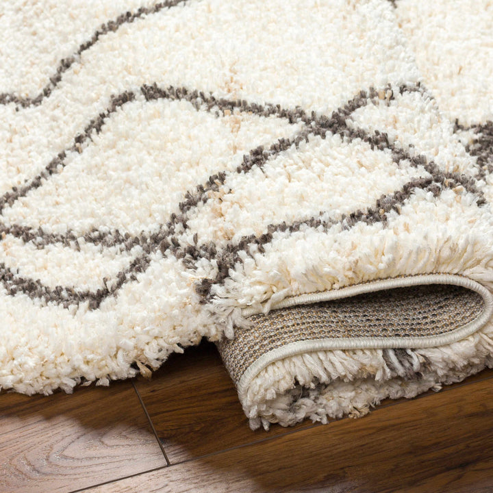 Hersz Bohemian Style Beige And Brown Area Rug