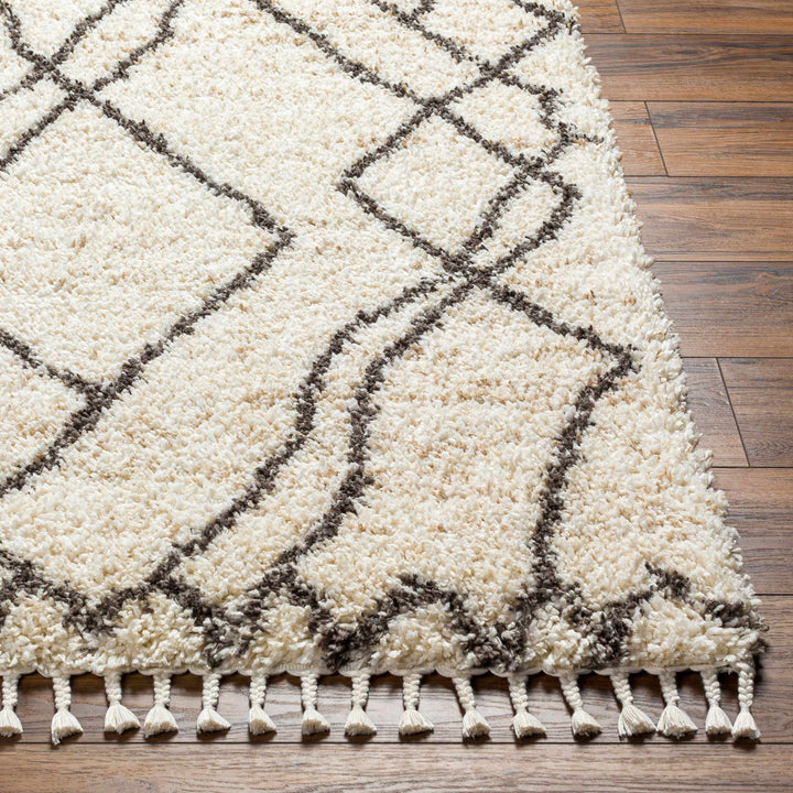 Hersz Bohemian Style Beige And Brown Area Rug