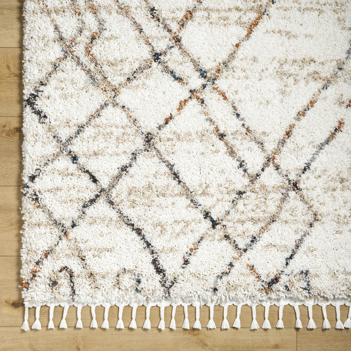 Hersz Bohemian Style Beige And Brown Area Rug