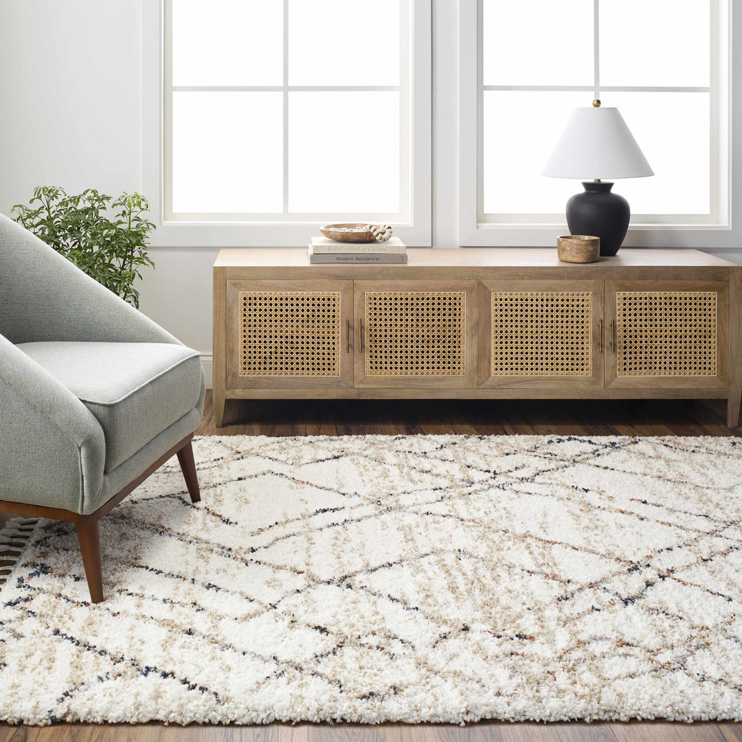 Hersz Bohemian Style Beige And Brown Area Rug