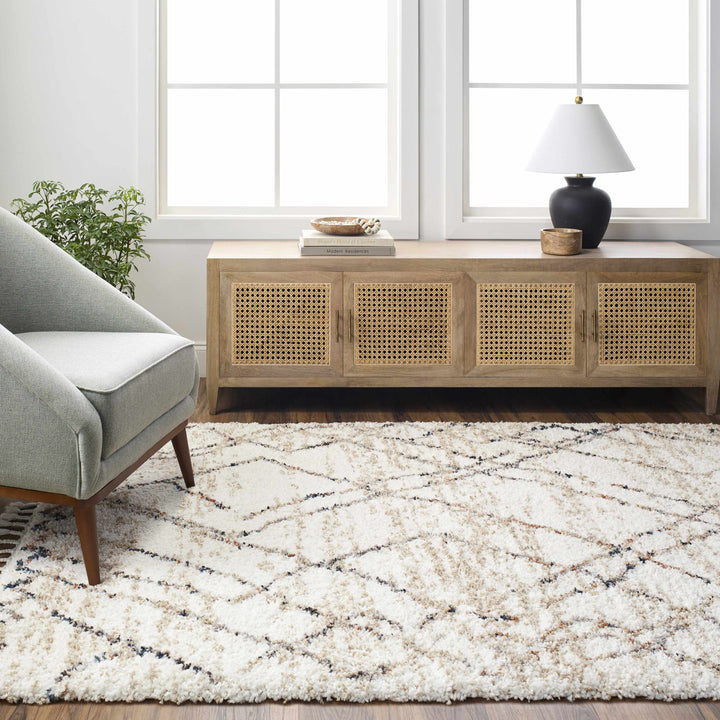Hersz Bohemian Style Beige And Brown Area Rug