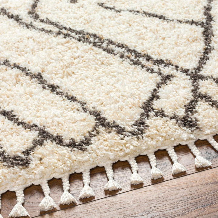 Hersz Bohemian Style Beige And Brown Area Rug
