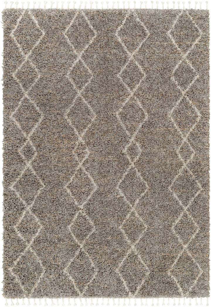 Ishan Gray Contemporary Style Area Rug