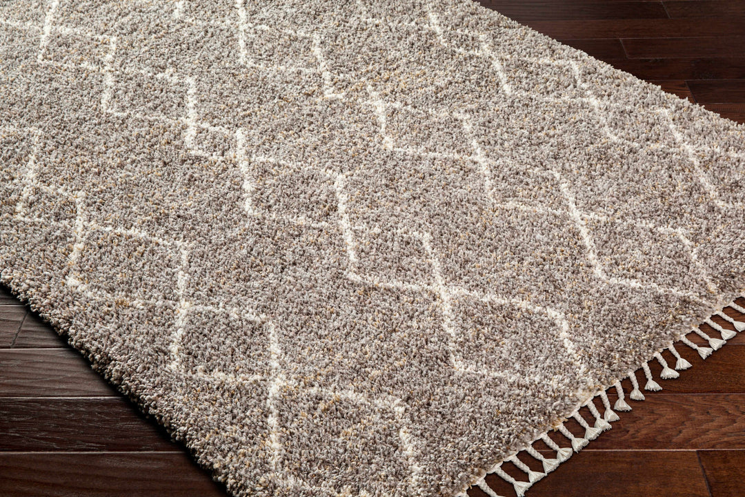 Ishan Gray Contemporary Style Area Rug