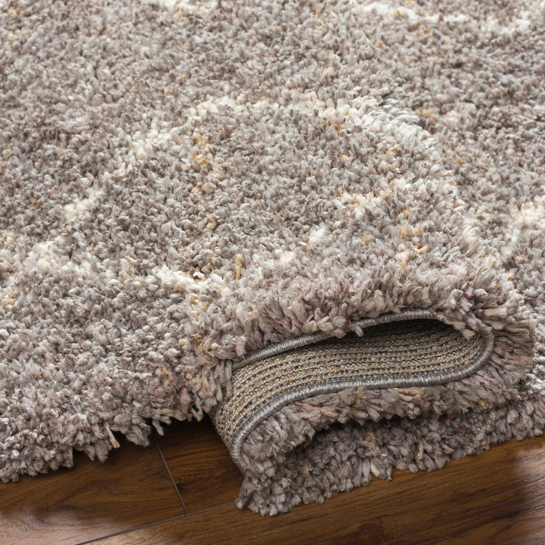 Ishan Gray Contemporary Style Area Rug