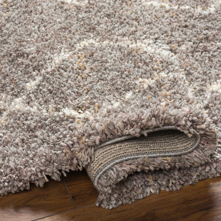 Ishan Gray Contemporary Style Area Rug