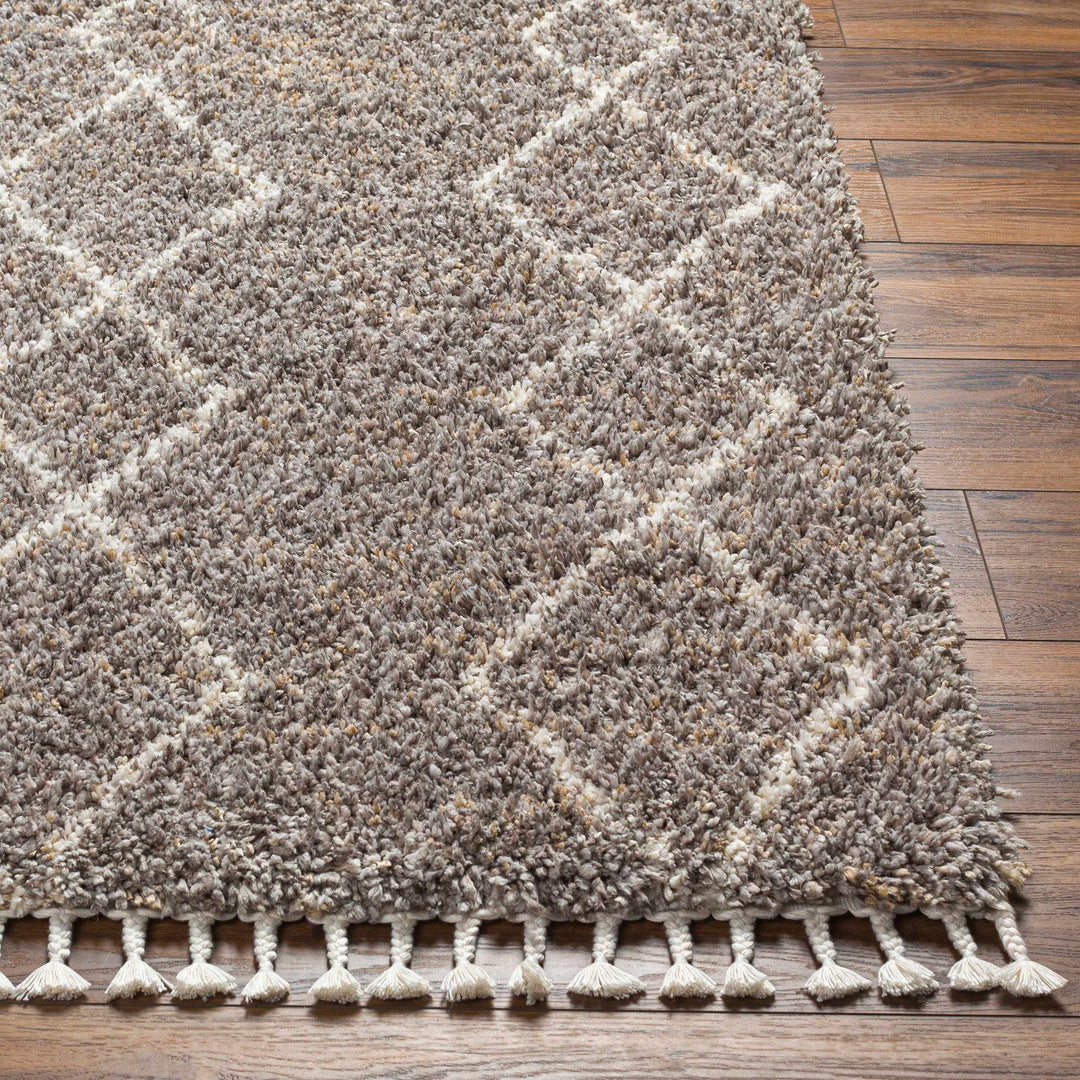 Ishan Gray Contemporary Style Area Rug