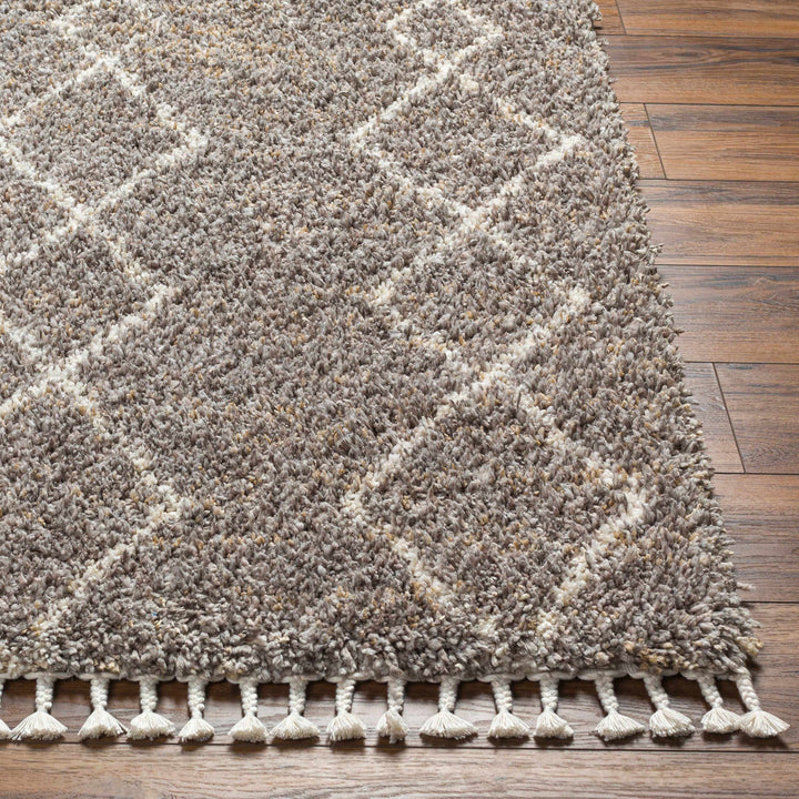 Ishan Gray Contemporary Style Area Rug