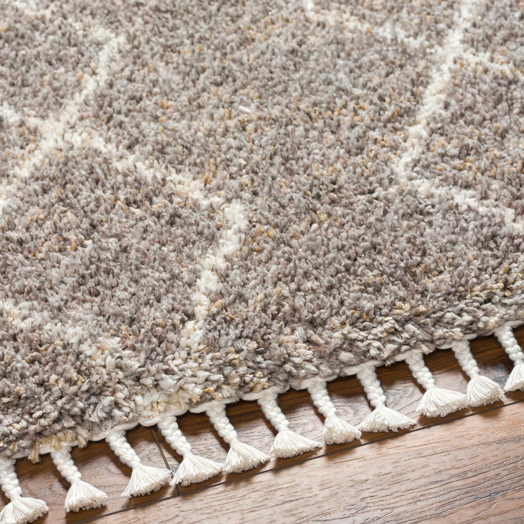 Ishan Gray Contemporary Style Area Rug