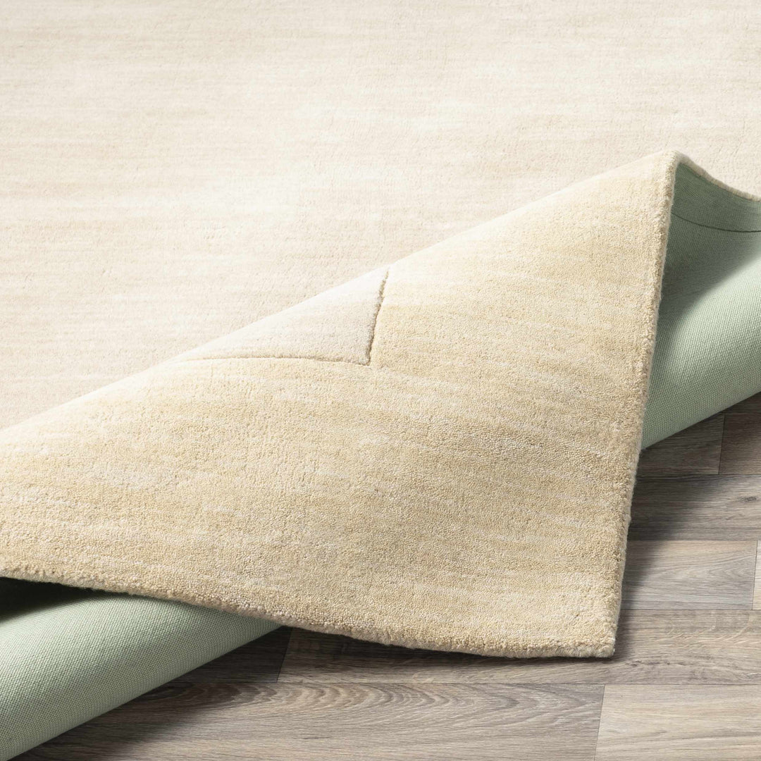 Slade Modern Solid Design Beige Hand Loomed Area Rug