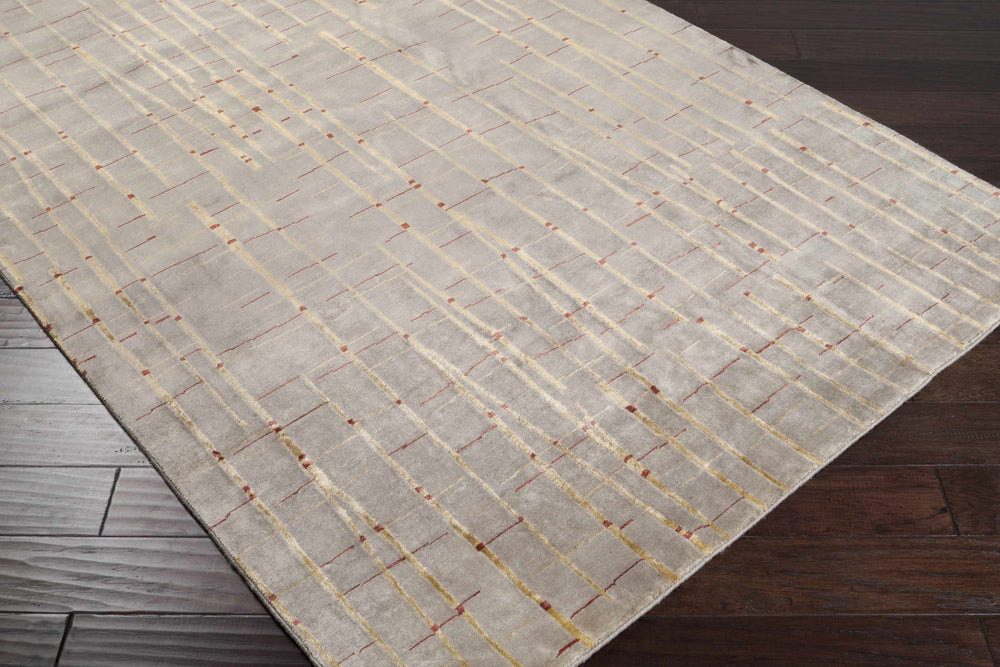 Beige and gray abstract area rug corner visible, thin red line lattice