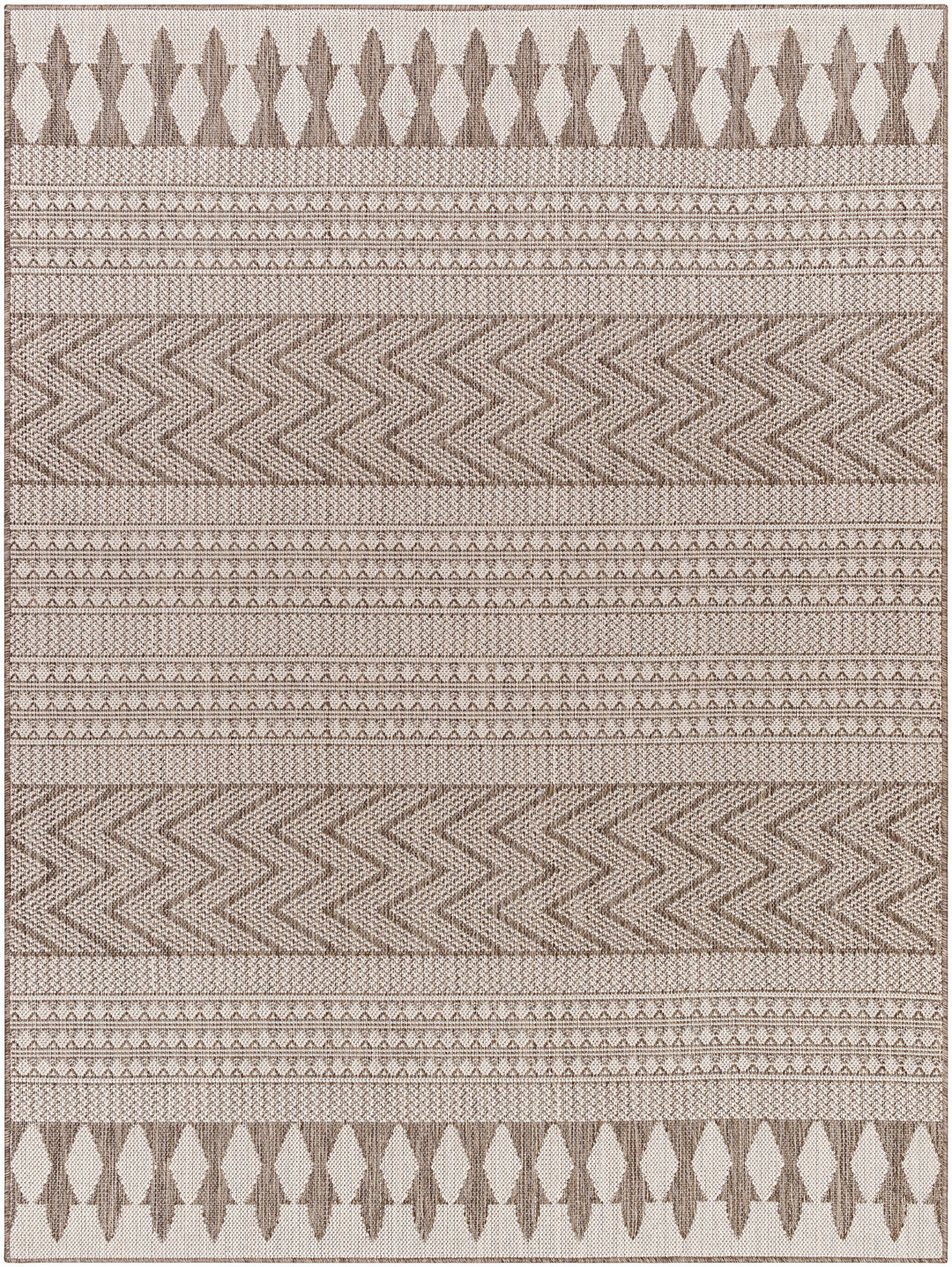 Asif Bohemian Beige And Brown Rug