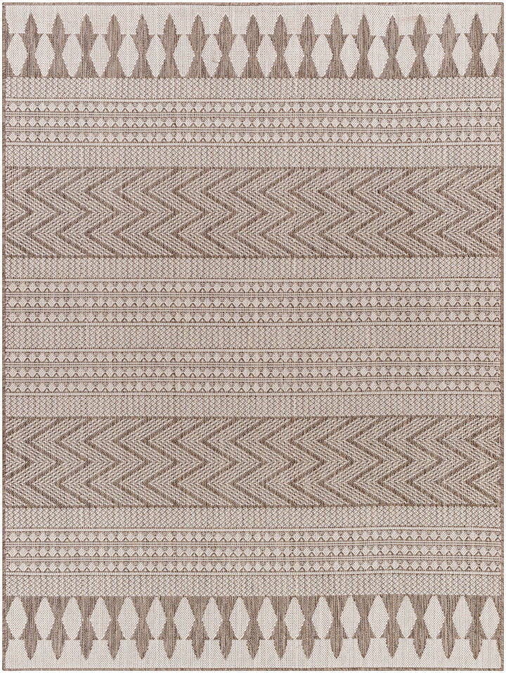 Asif Bohemian Beige And Brown Rug