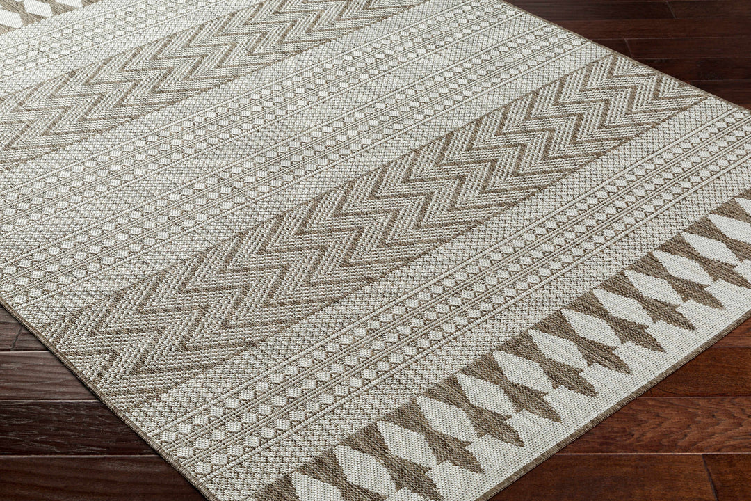 Asif Bohemian Beige And Brown Rug