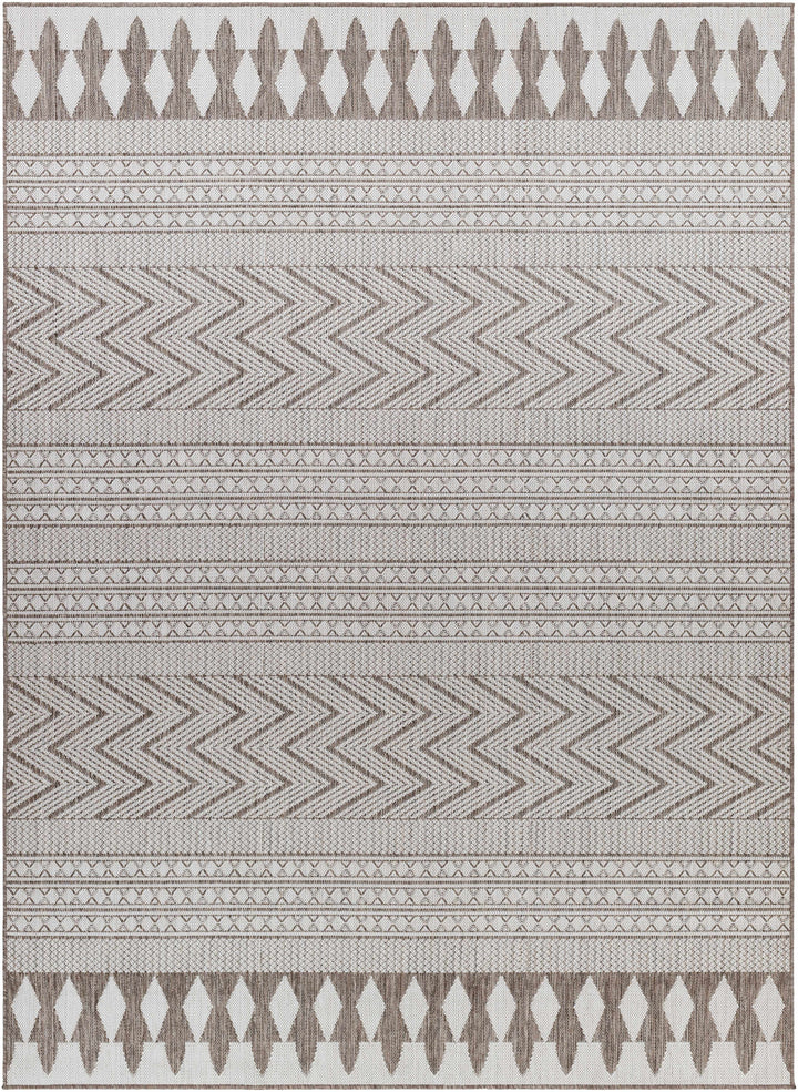 Asif Bohemian Beige And Brown Rug