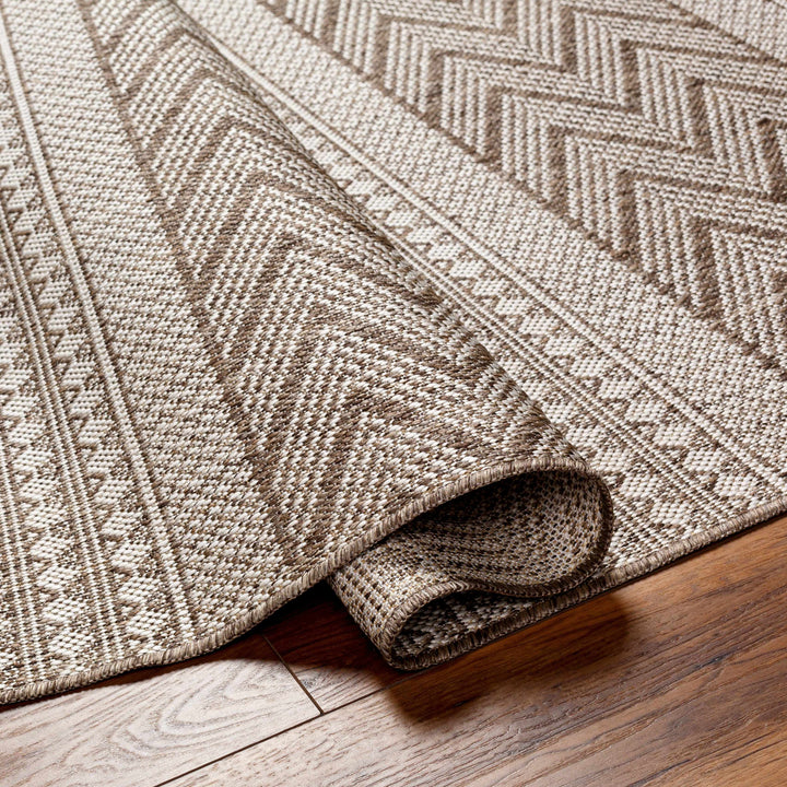 Asif Bohemian Beige And Brown Rug