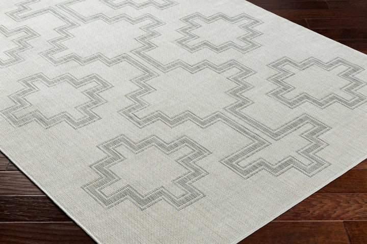 Fadil Bohemian Style Gray Area Rug