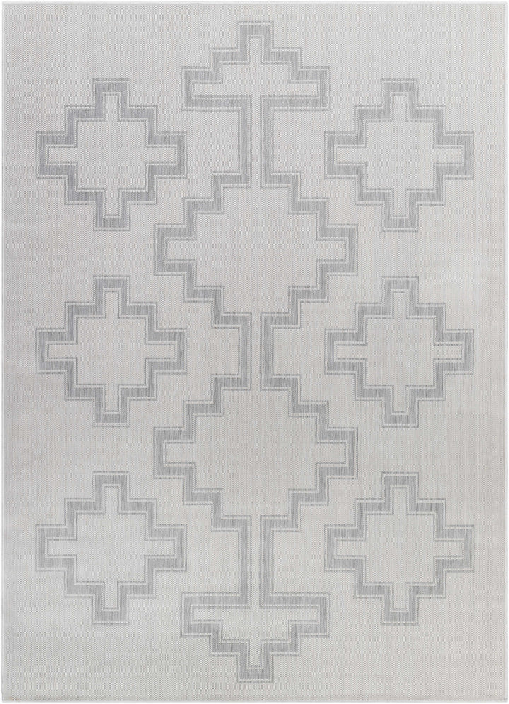 Fadil Bohemian Style Gray Area Rug