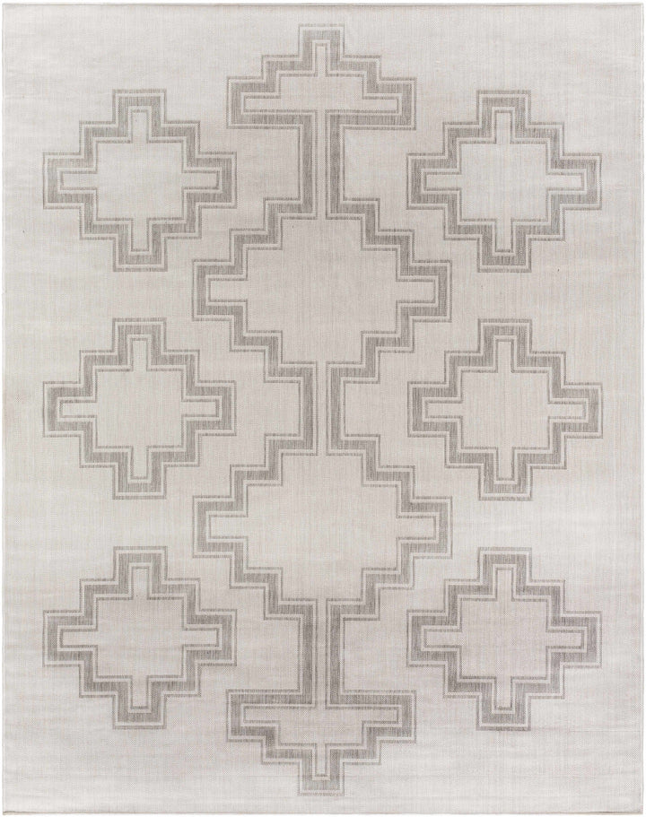 Fadil Bohemian Style Gray Area Rug