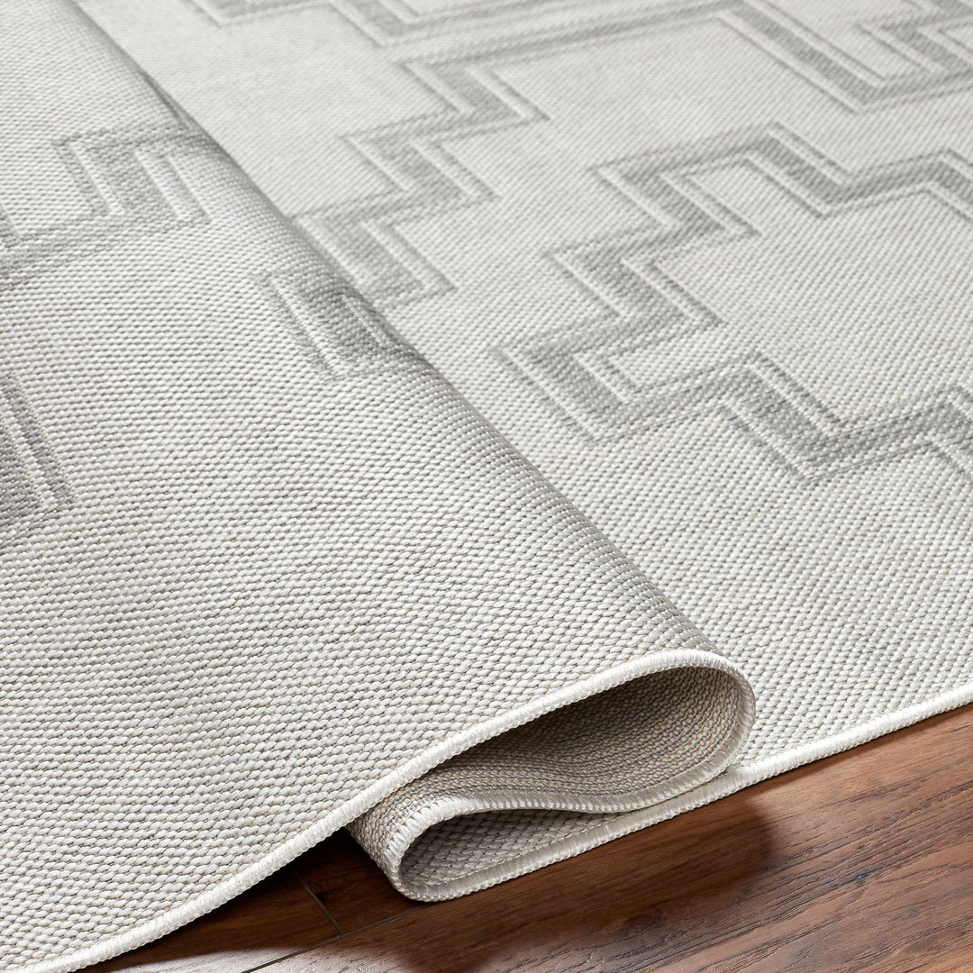 Fadil Bohemian Style Gray Area Rug