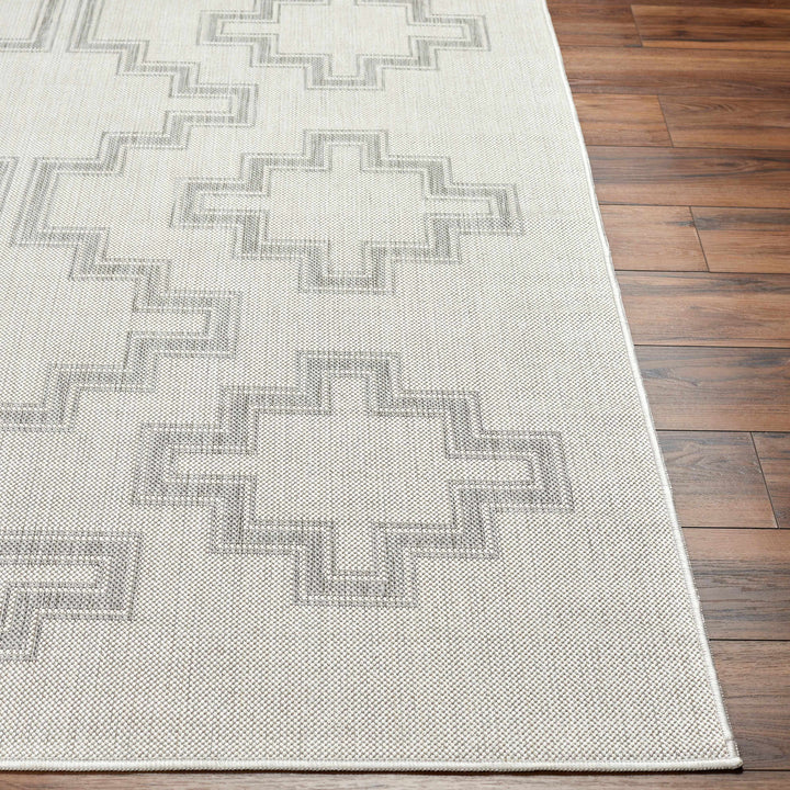 Fadil Bohemian Style Gray Area Rug