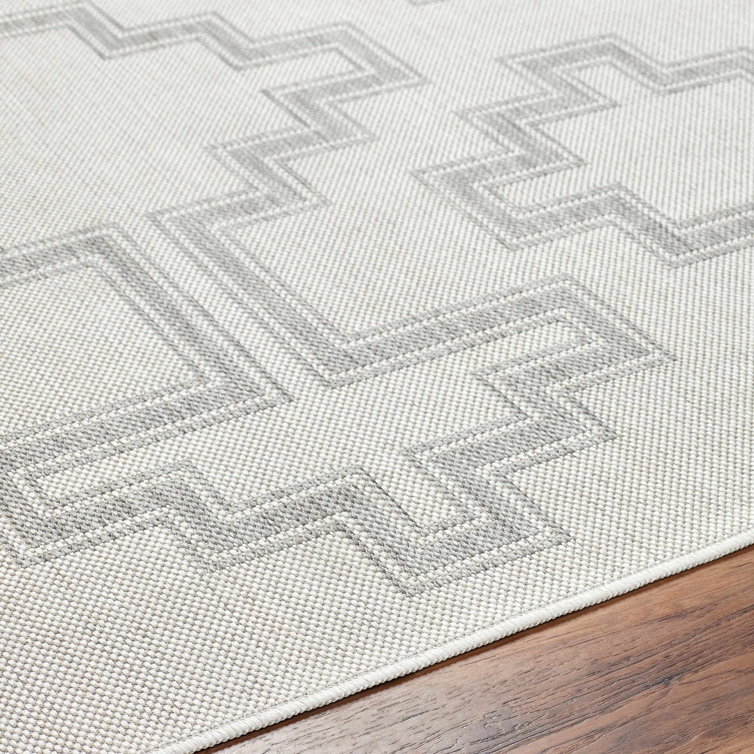 Fadil Bohemian Style Gray Area Rug
