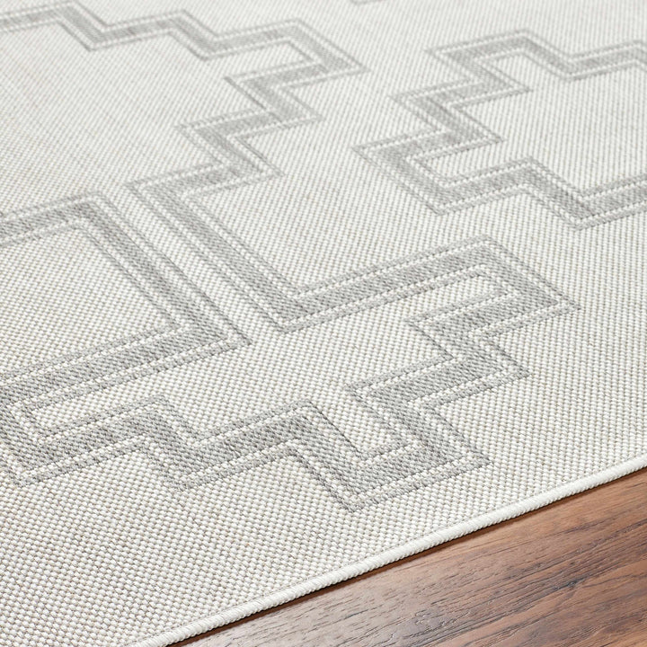 Fadil Bohemian Style Gray Area Rug