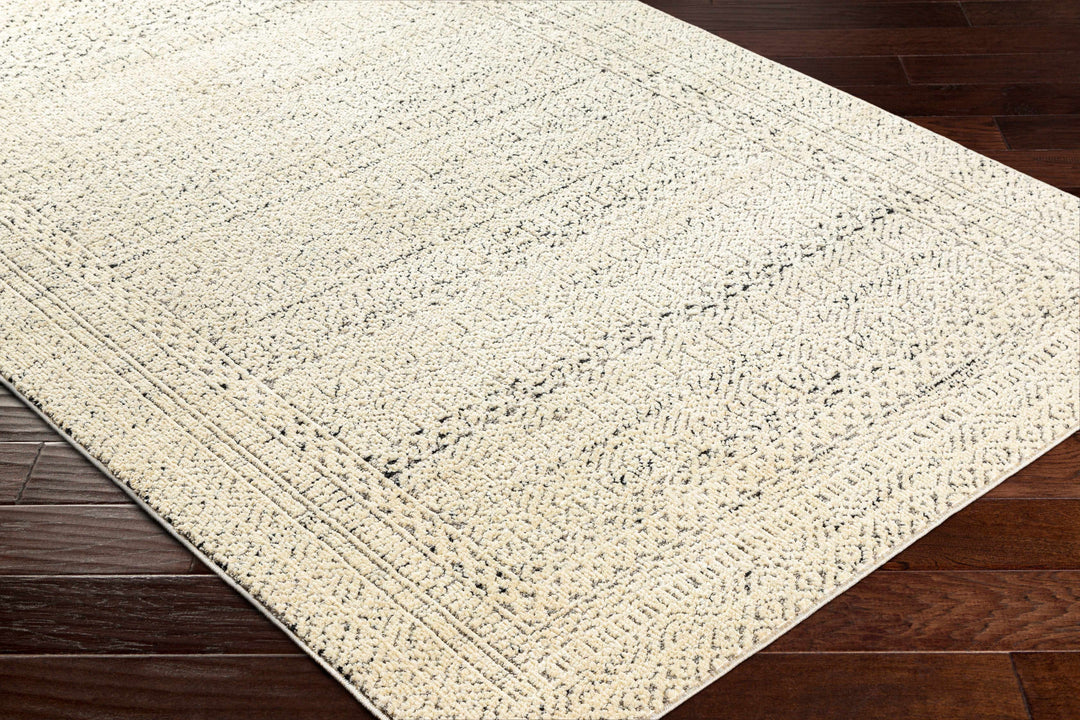 Said Beige And Black Traditional Style Rug
