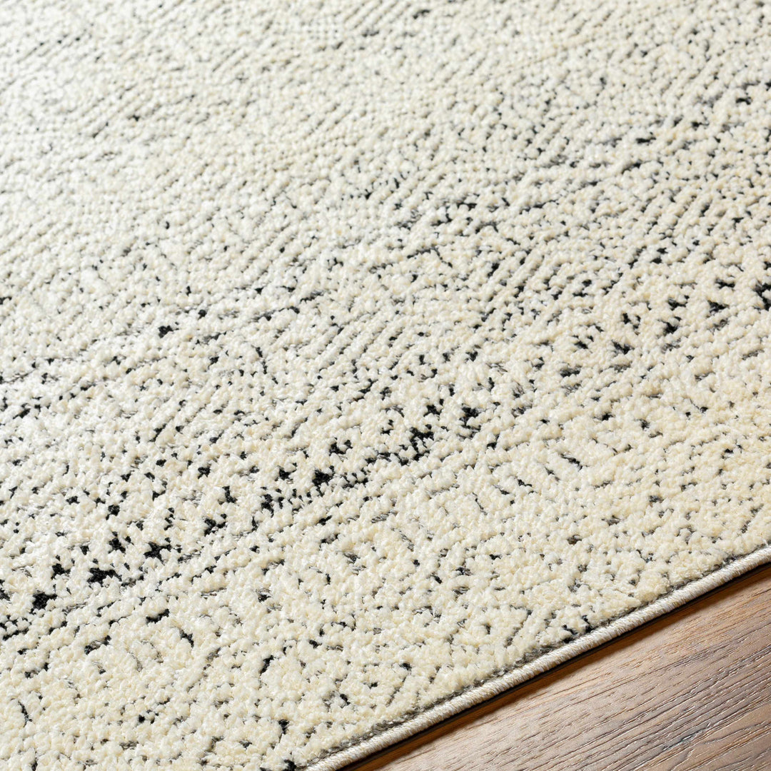 Said Beige And Black Traditional Style Rug