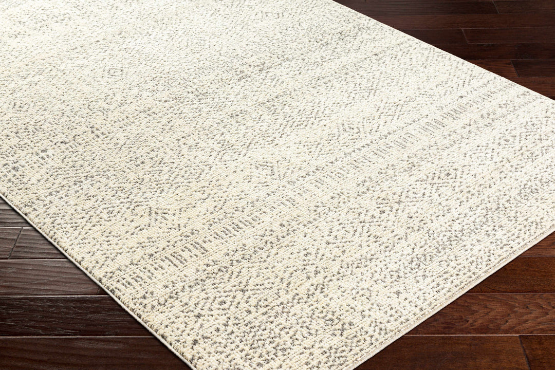 Truc Beige And Brown Traditional Style Rug